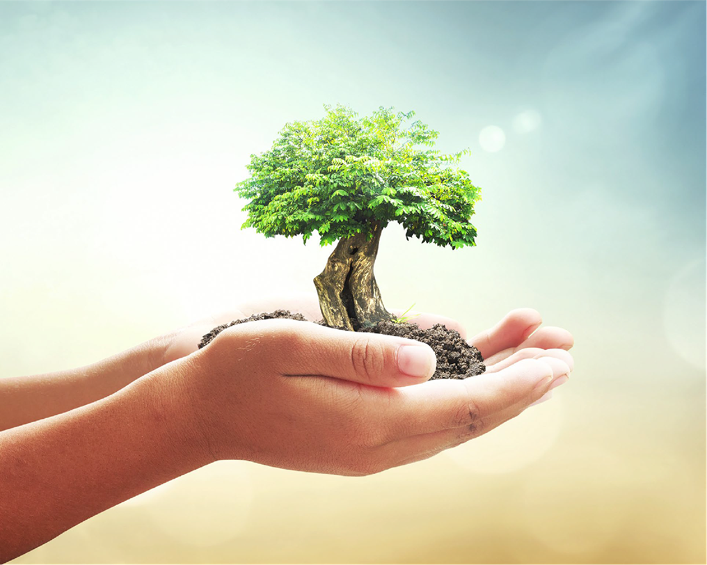 VFS Global achieves new milestones in its sustainability journey 